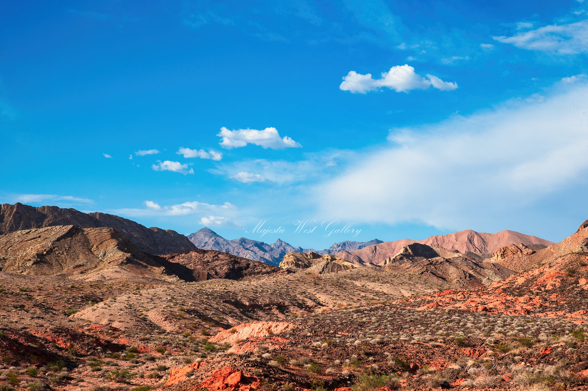 Desert Morning.jpg