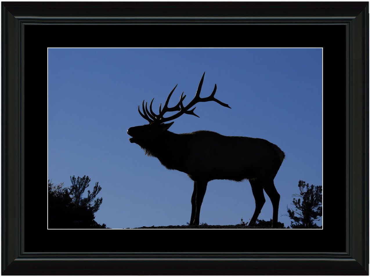 Morning Elk-framed-mat.jpg