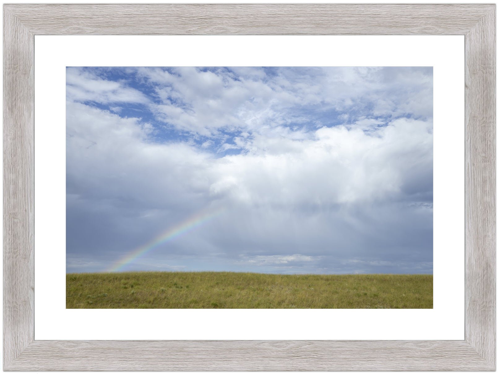 Little Rainbow-framed-matted.jpg