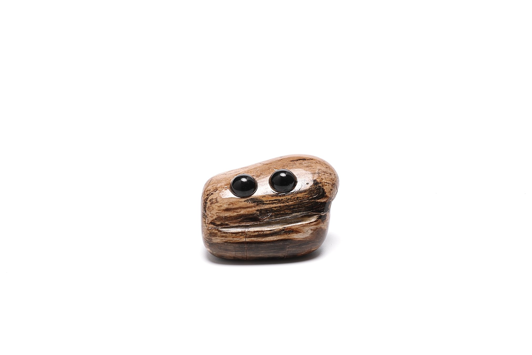 Rock Buddy: Rocco