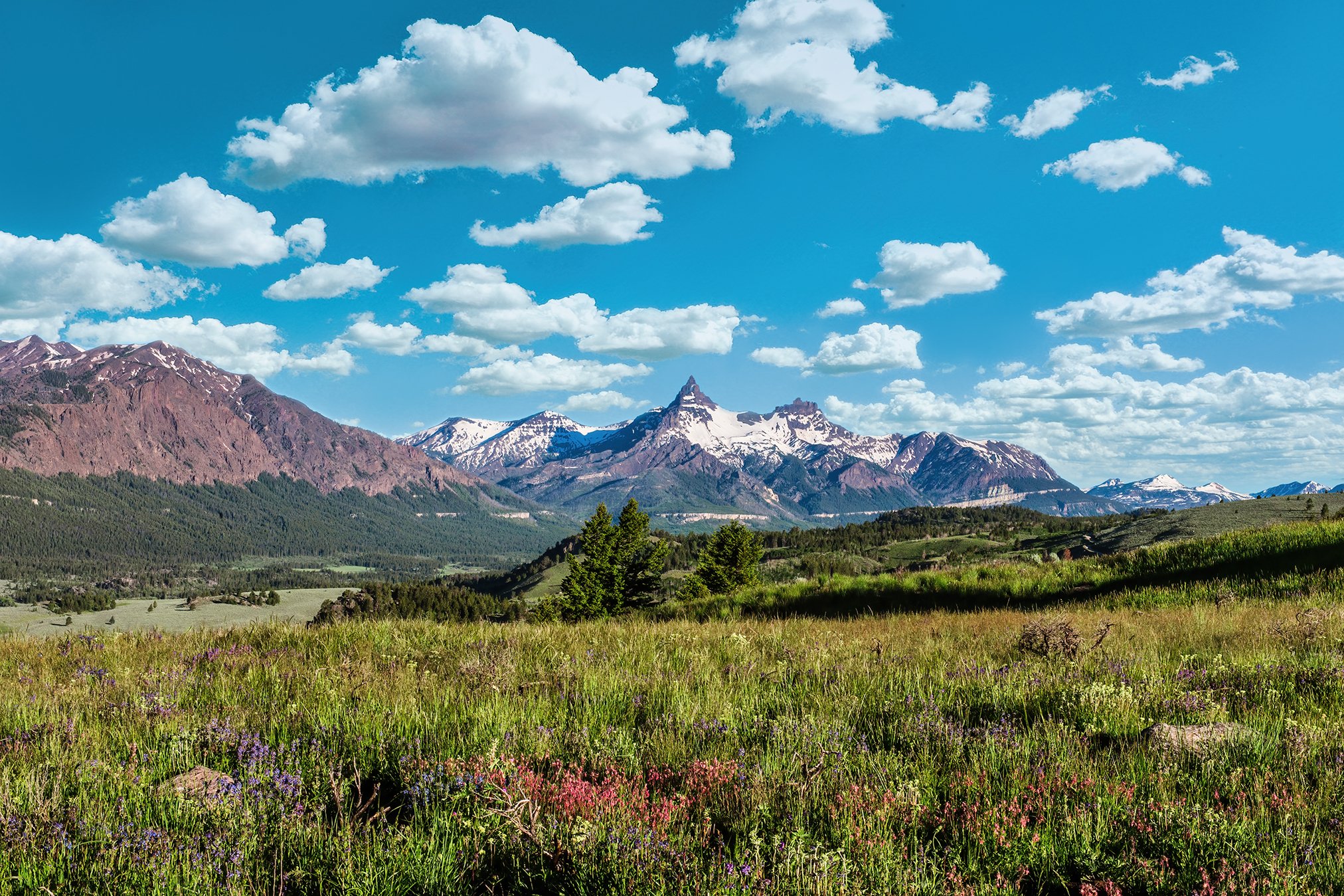 Mountain View.jpg