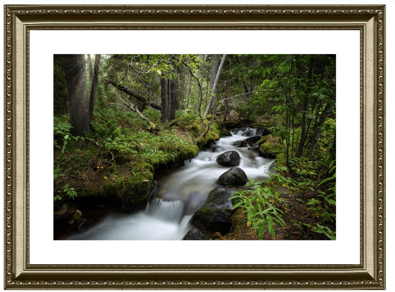 Framed and matted print of a gently flowing forest stream