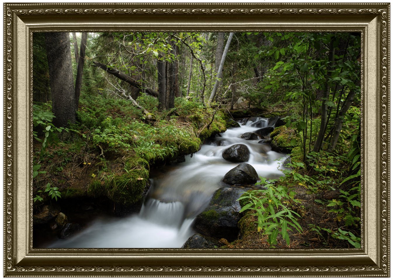 Flowing forest stream shown in custom frame to hang on wall