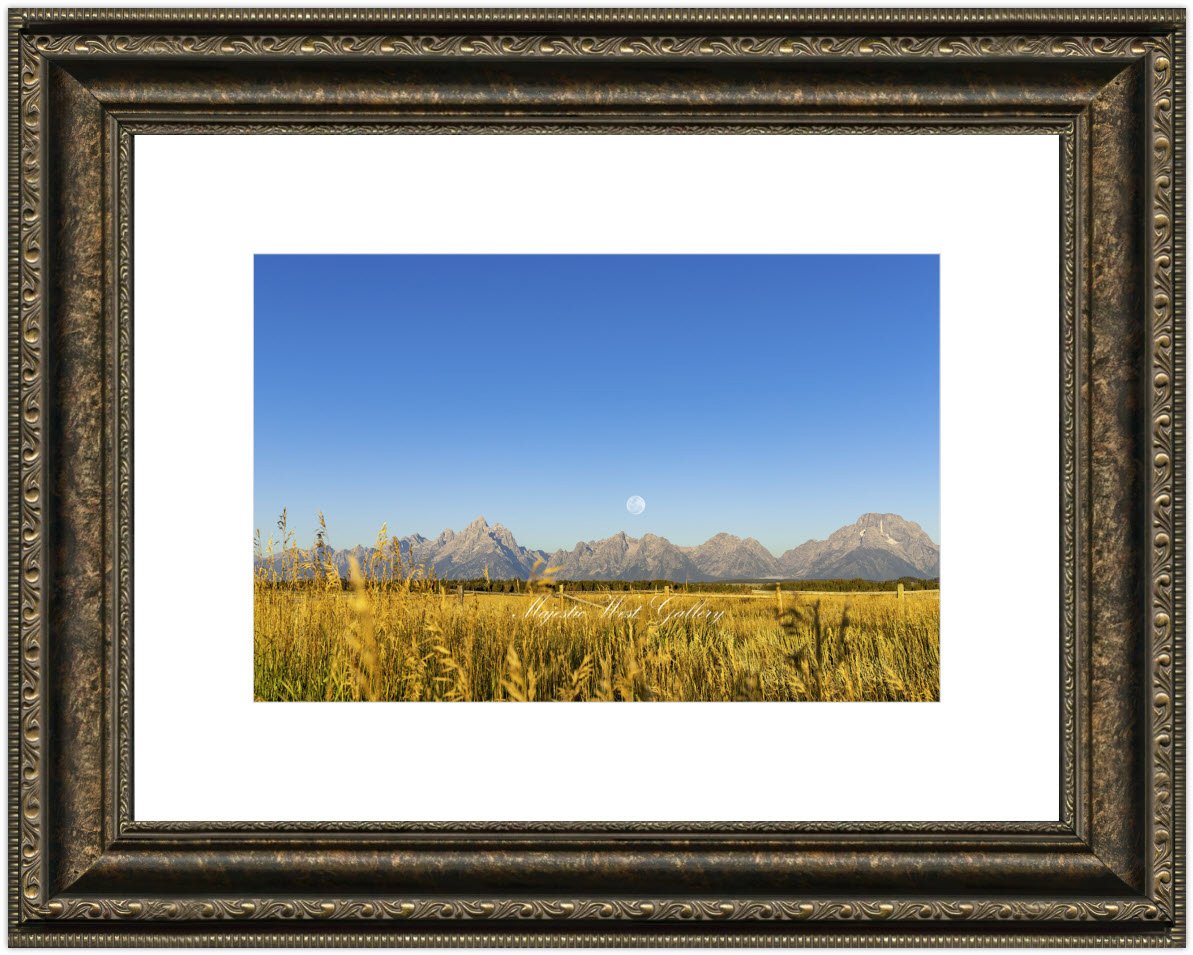 Harvest Moon_framed_art_mat.jpg