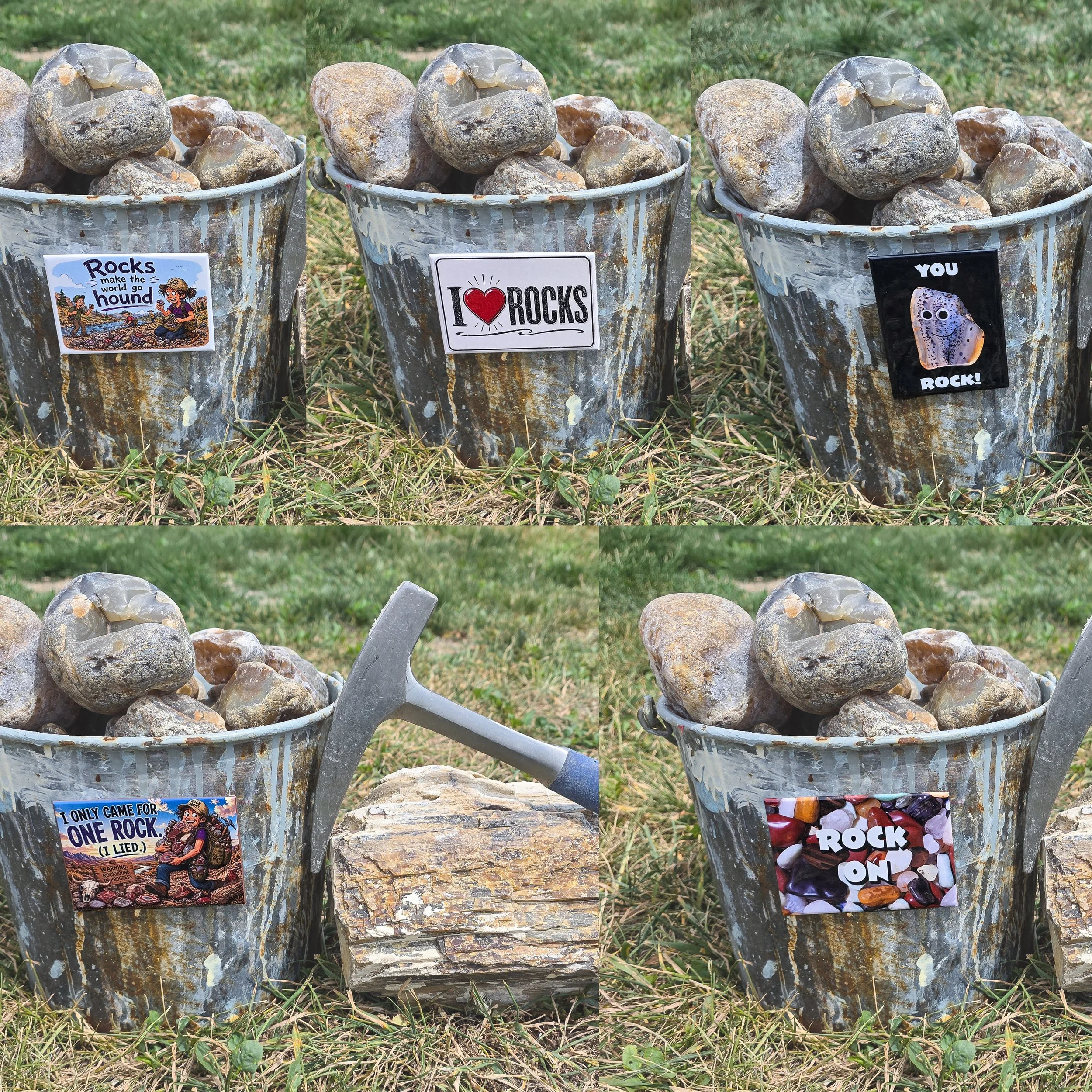 Rock Hound Magnet Souvenir