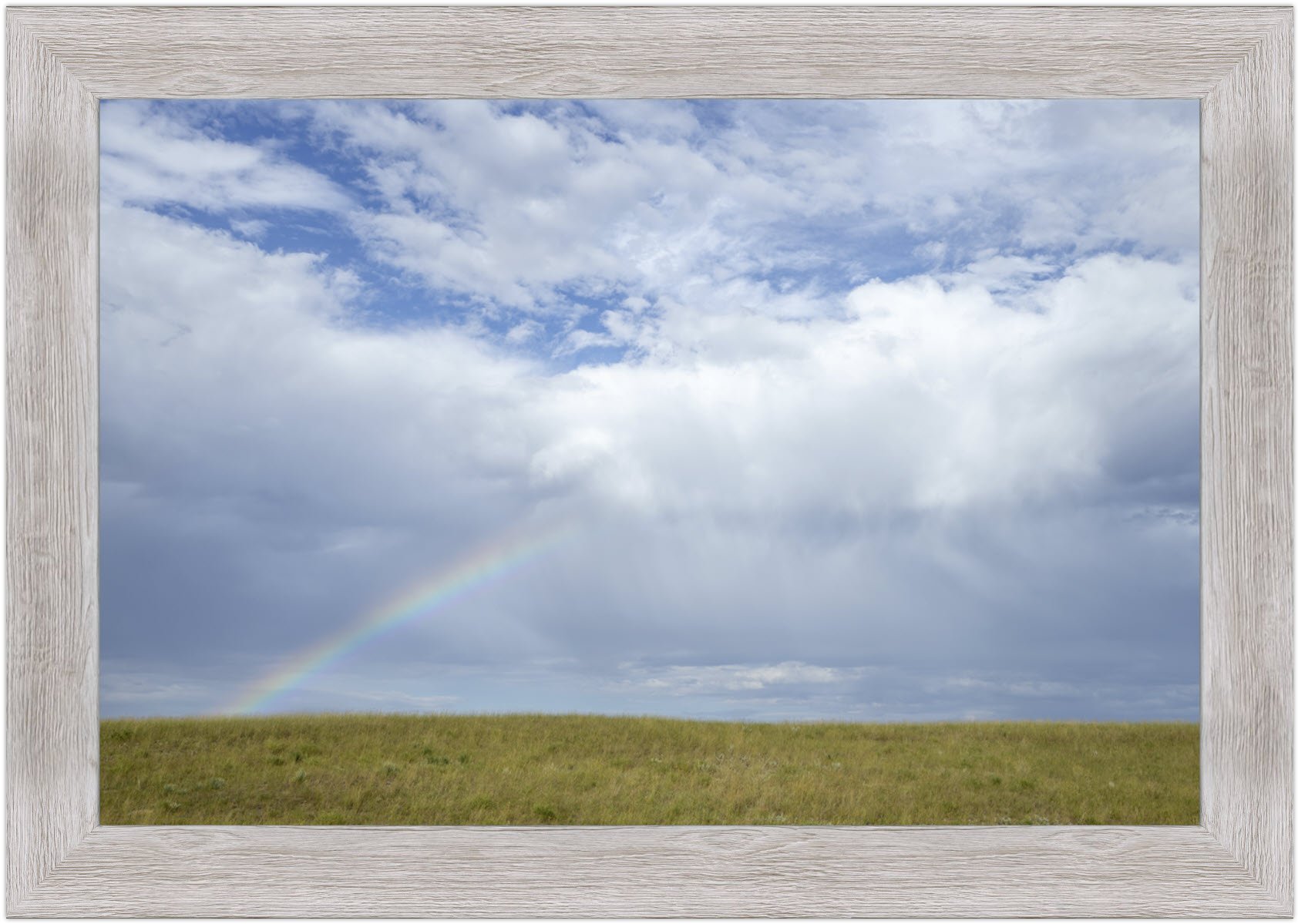 Little Rainbow-framed.jpg