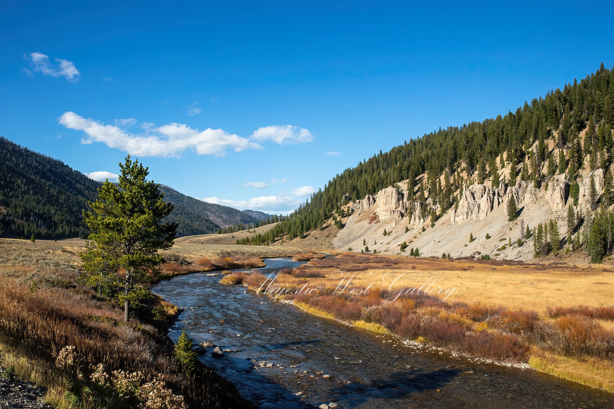 River Valley.jpg