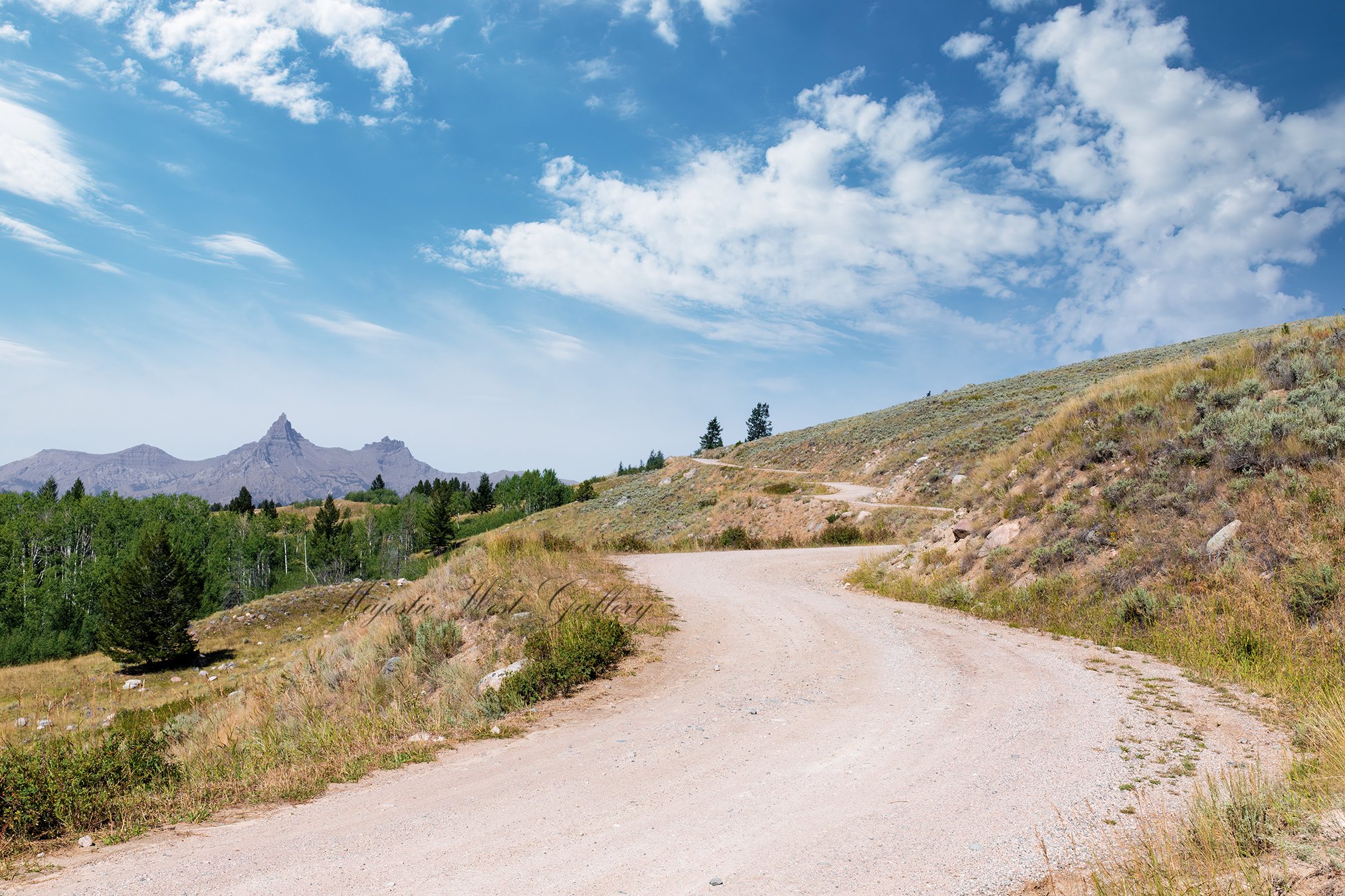 Road to Adventure.jpg