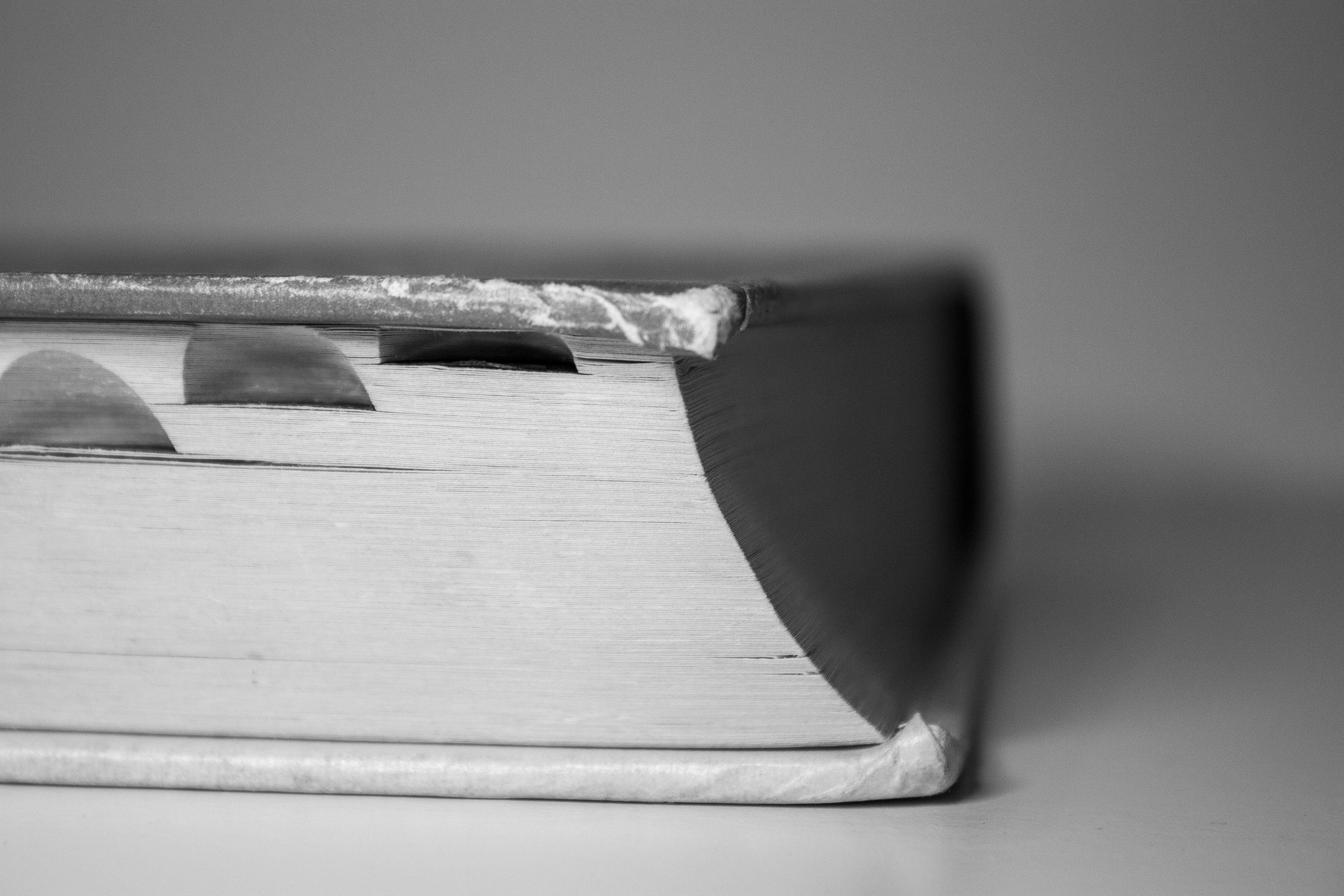 1. Book End IMG_5813.jpg