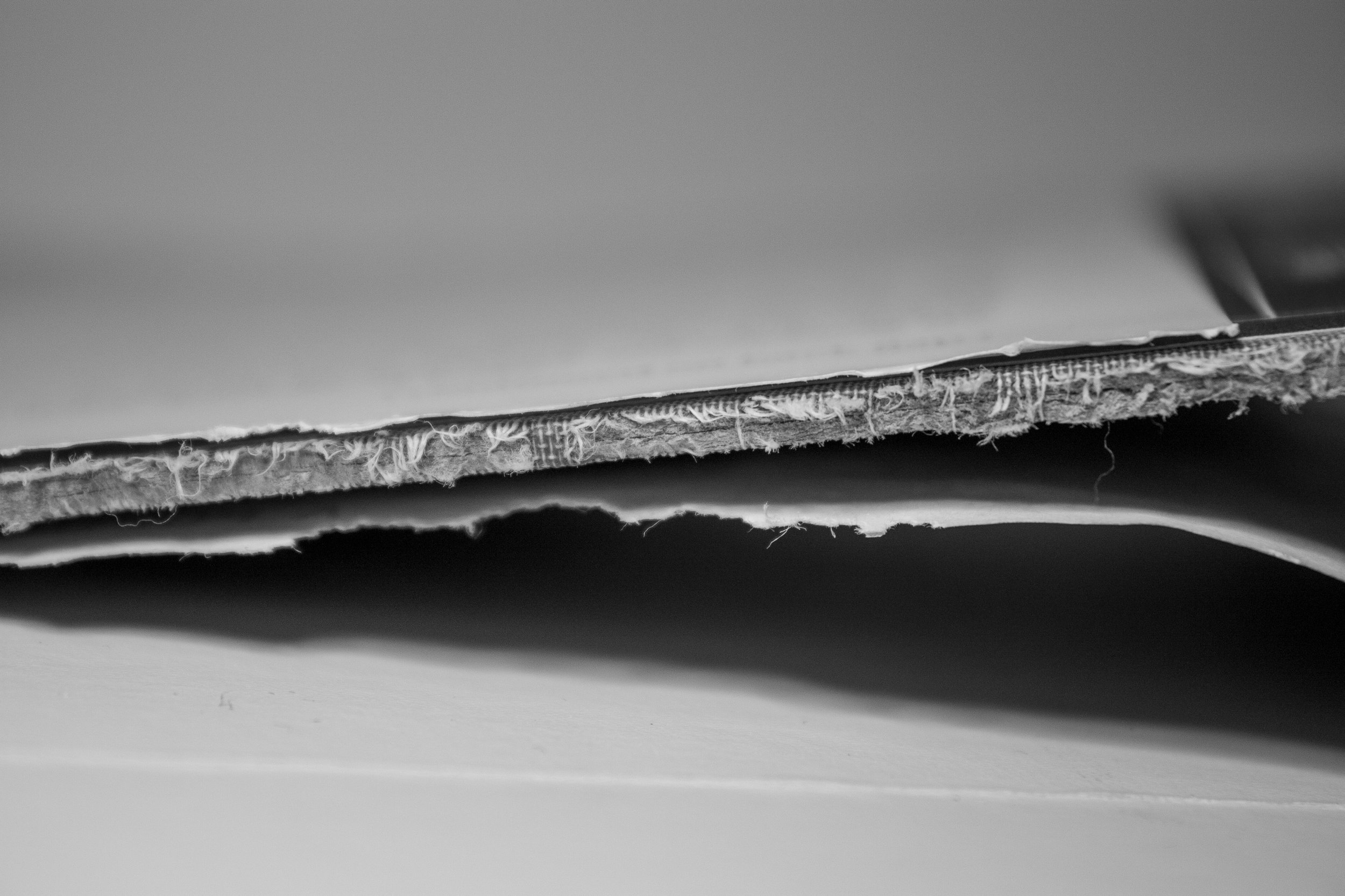 5. Edge IMG_5964-2.jpg