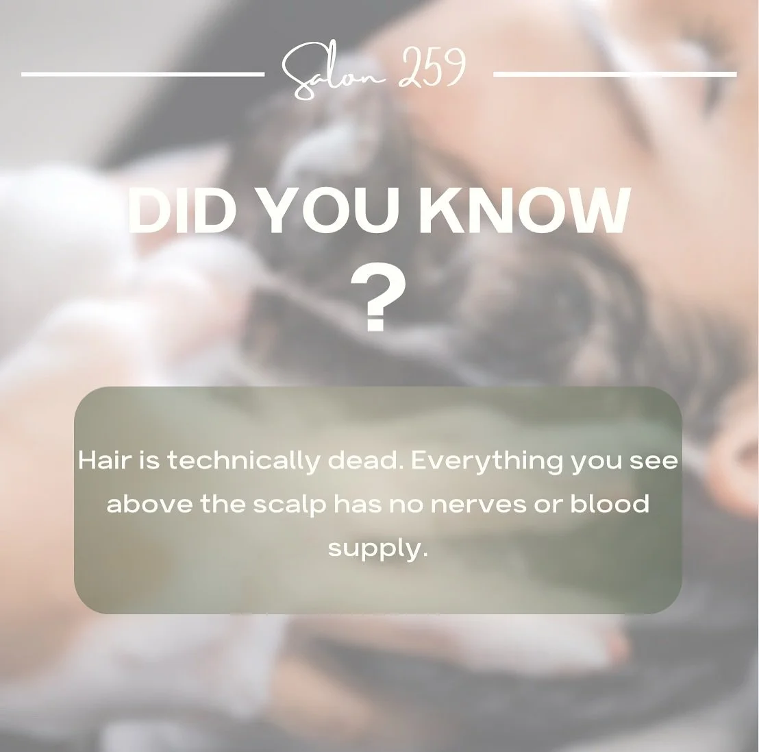 ✨Did you know your hair is technically dead once it leaves your scalp? That&rsquo;s why professional products and treatments are key to keeping it looking healthy, strong, and shiny!✨

#themoreyouknow #salon259 #redken #amika #randco #bethlehemhair #
