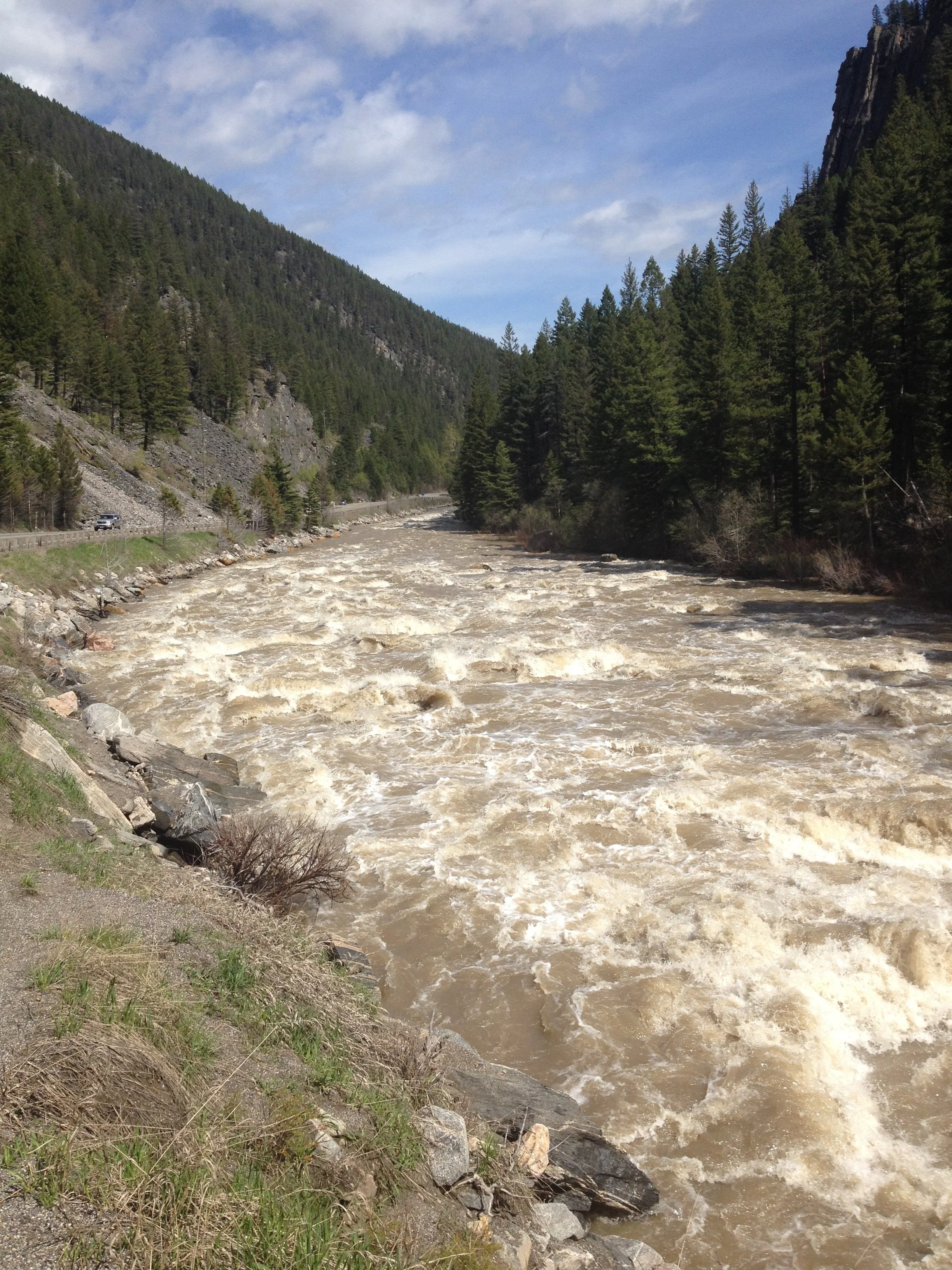 Runoff on the Gallatin River