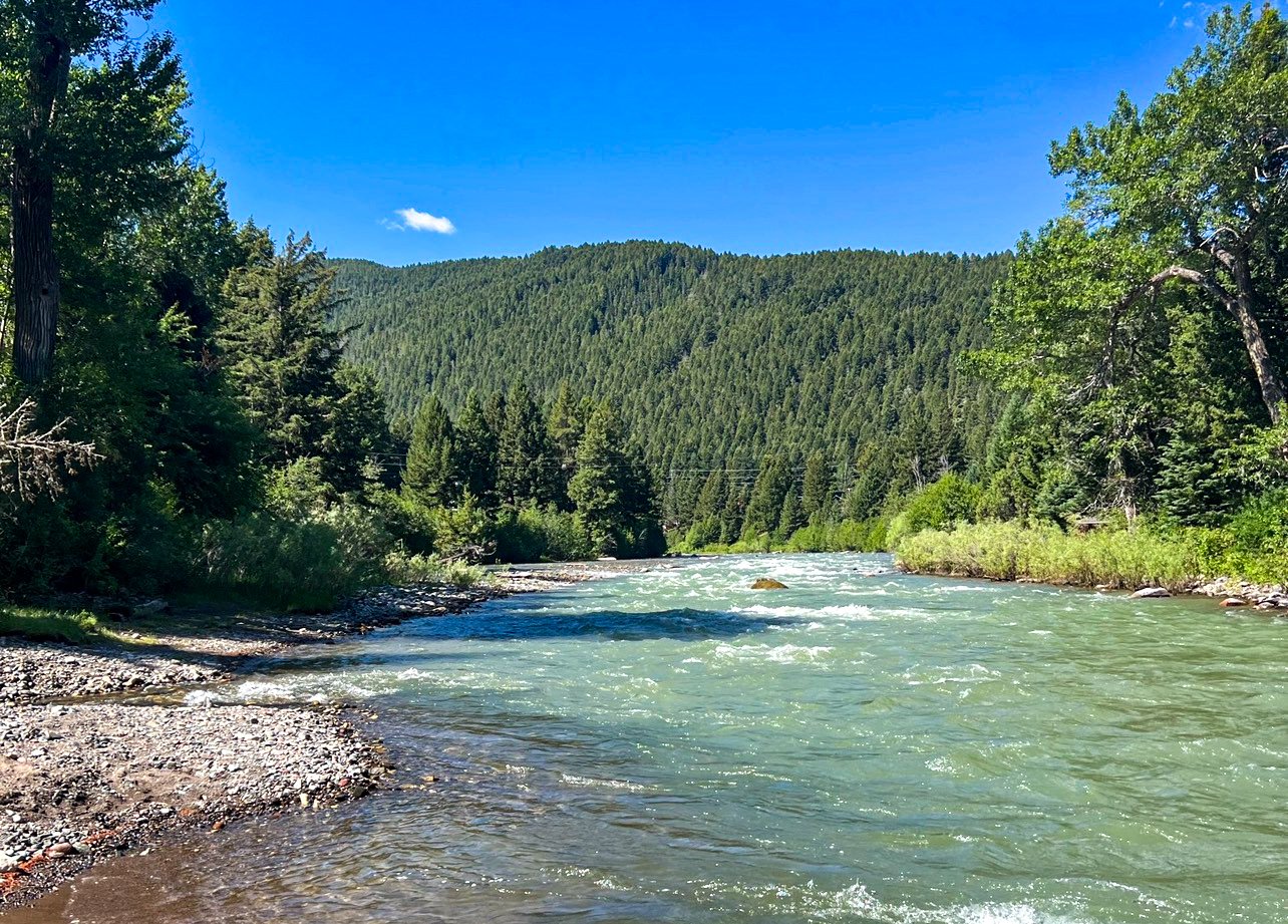 A river flowing through a forested mountainous landscape with green trees, a clear blue sky, and small clouds.