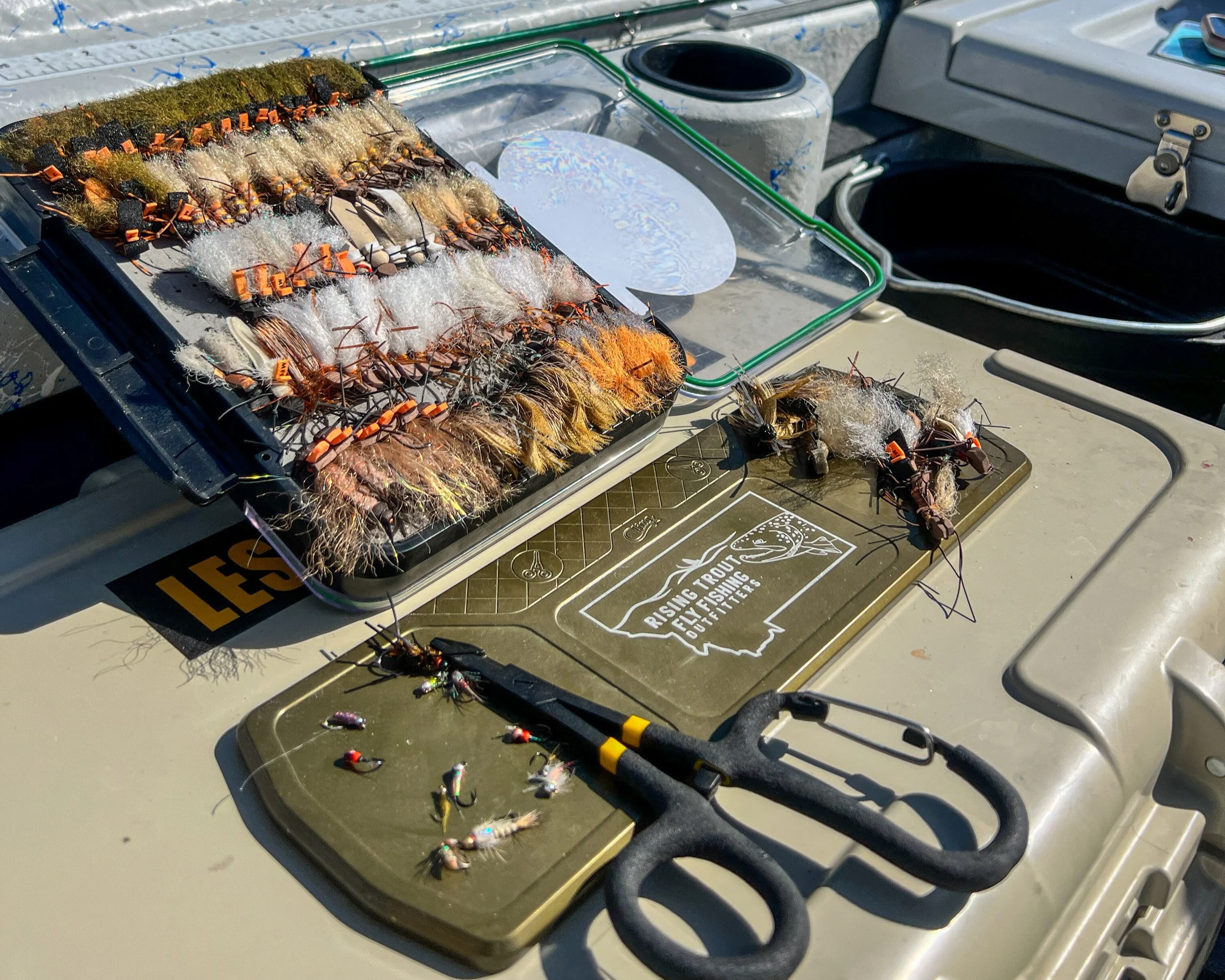 Best Flies for the Montana Salmonfly Hatch