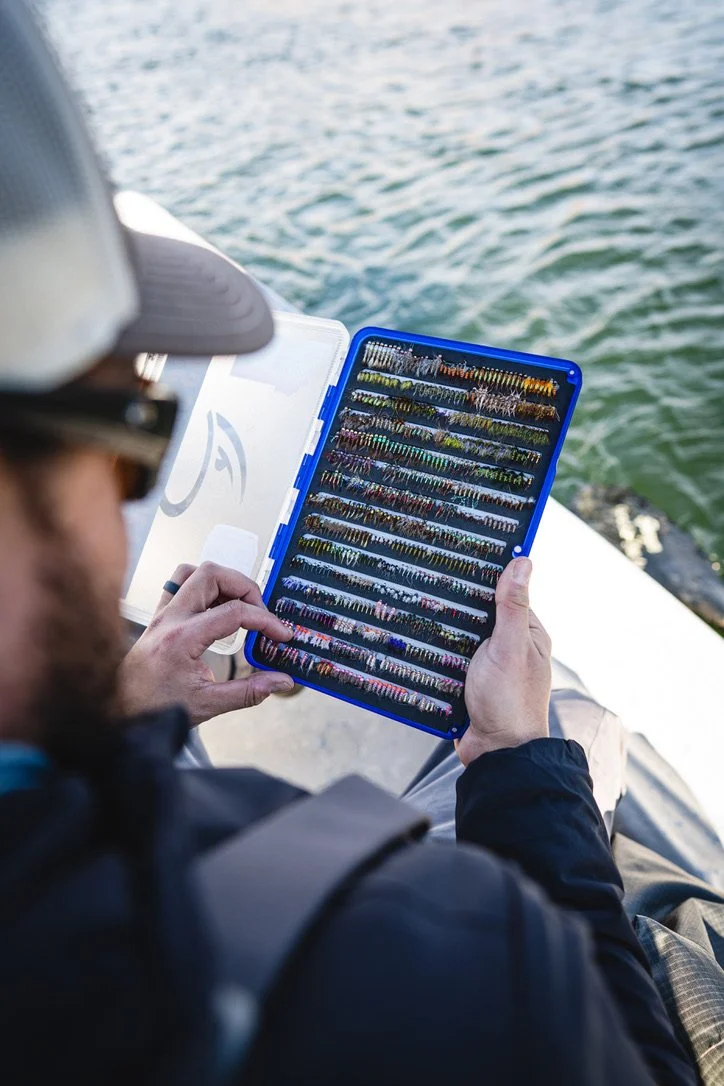 Spring Fly Fishing Rigs: Guide Setup for Montana Trout (Nymphs, Streamers &amp; Dry Flies)