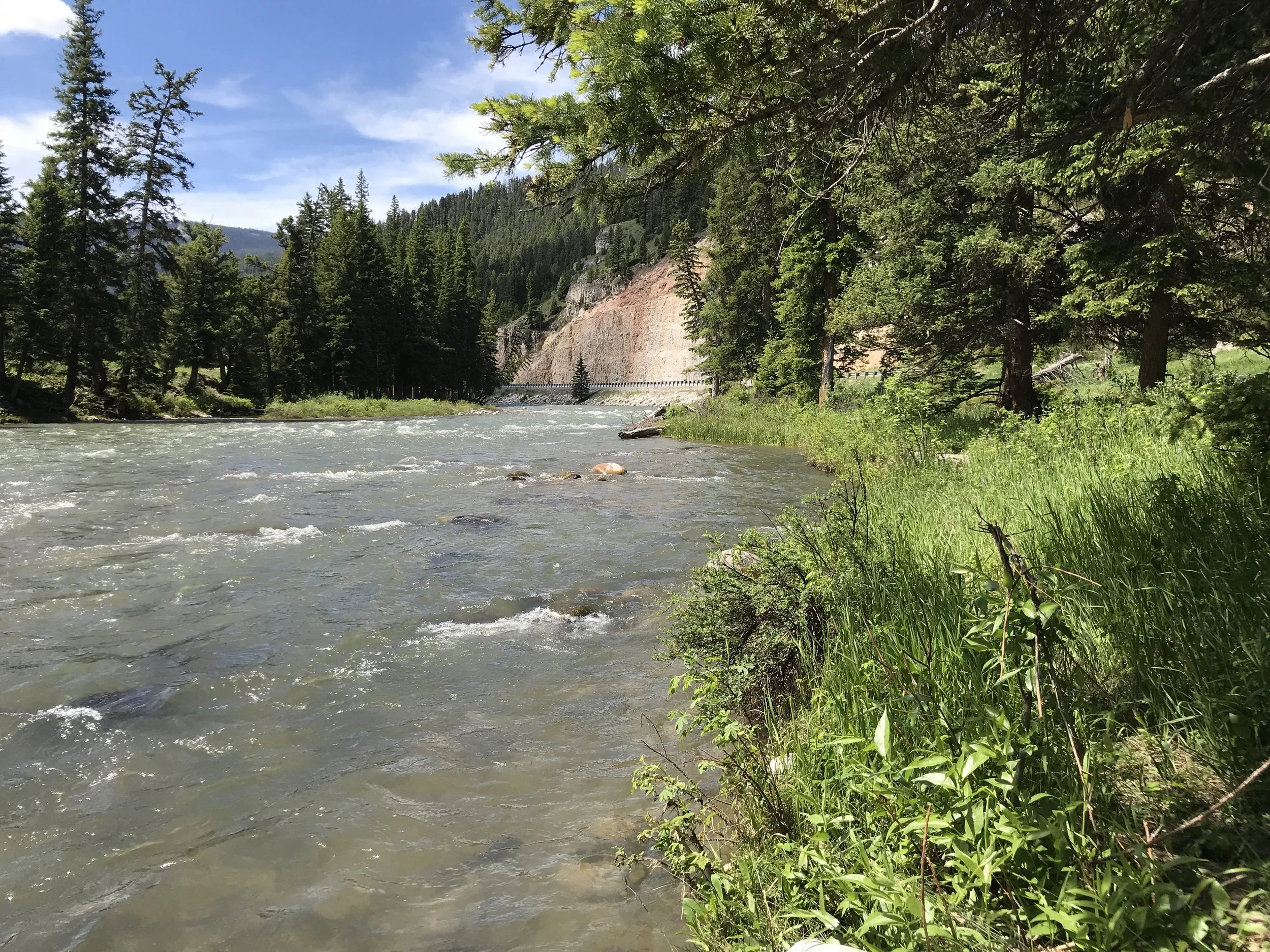 Fly Fishing During Spring Runoff in Montana: Where to Fish Near Bozeman