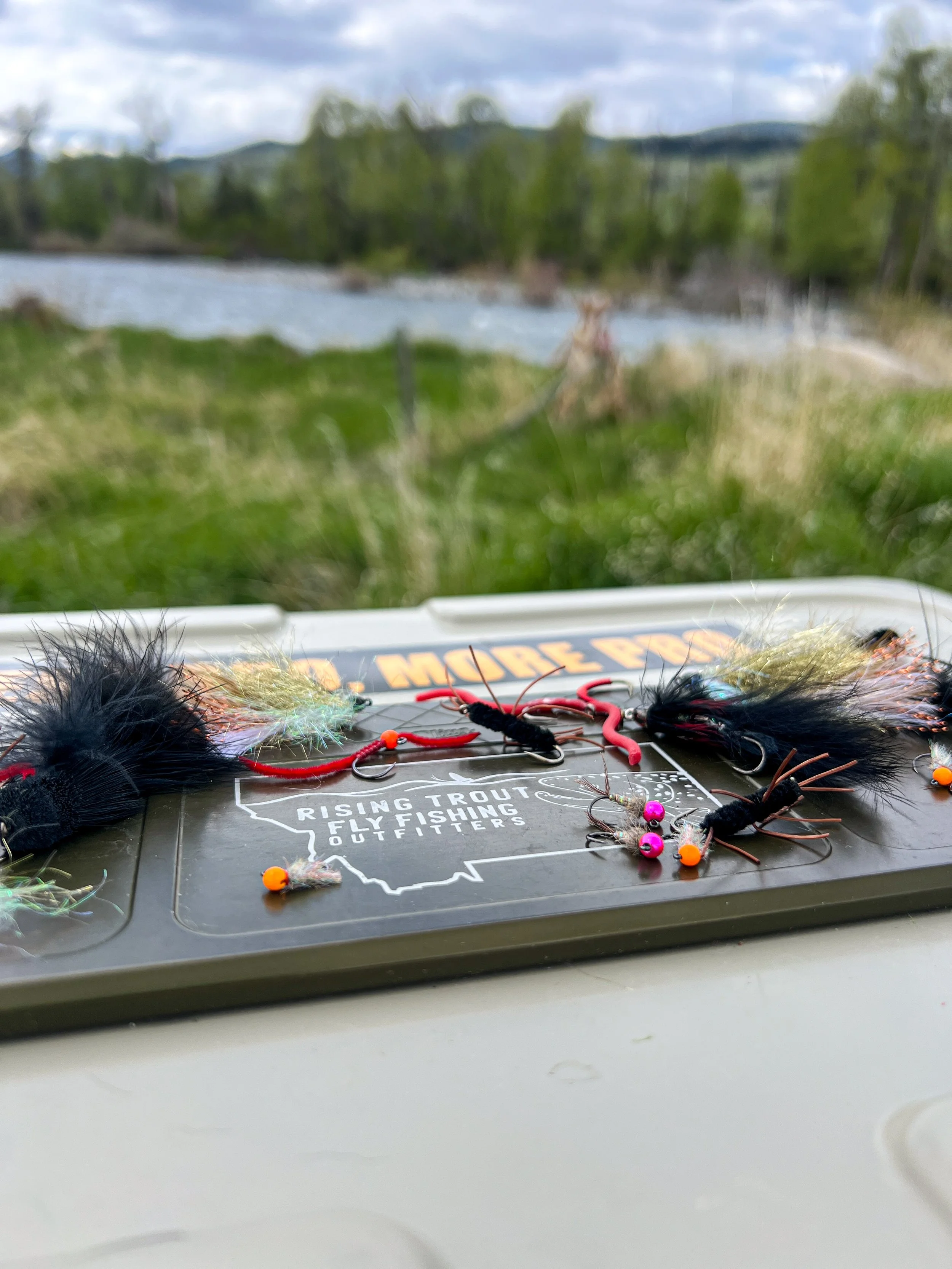 Best Flies for Fly Fishing During Runoff in Montana (High Water Trout Patterns)
