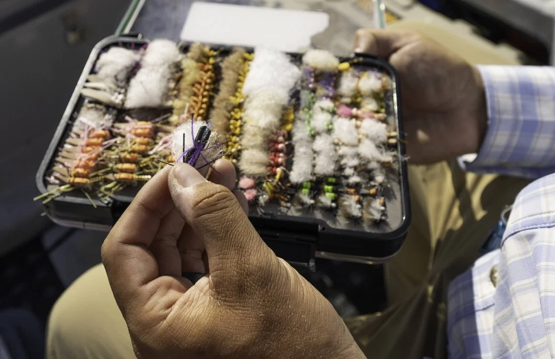 Montana Fly Fishing Hatch Chart (Month-by-Month Guide)