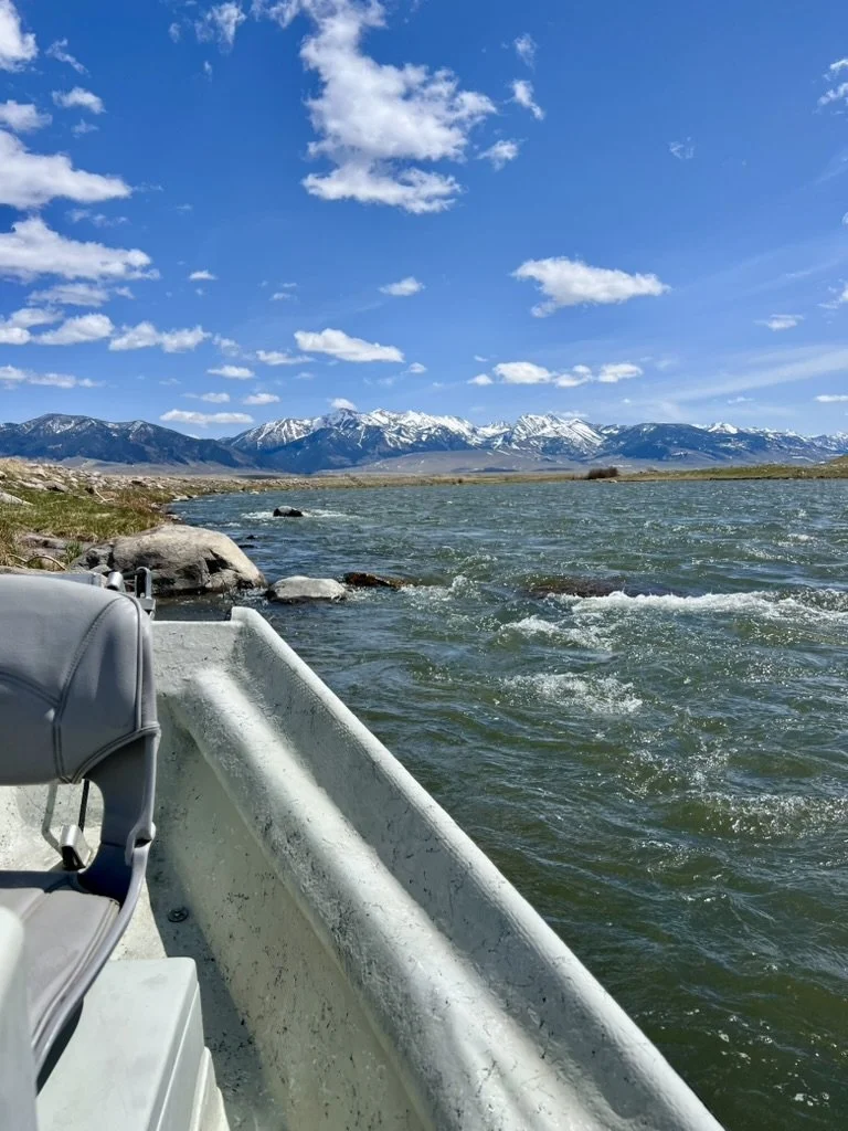 Best Flies for the Upper Madison River in Spring (Montana Fly Patterns)