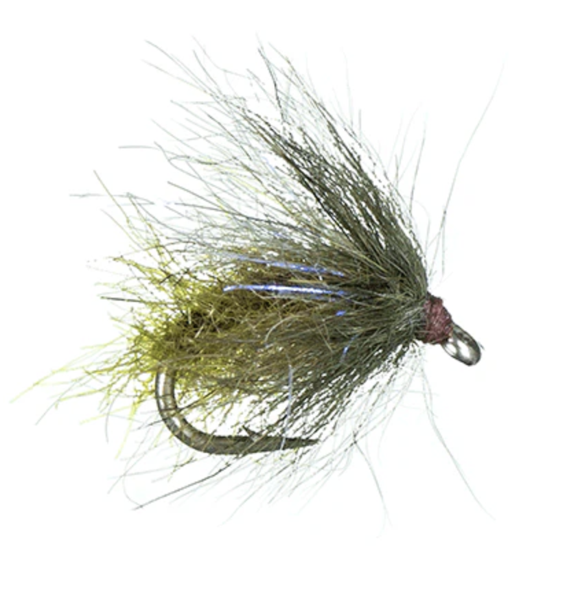Galloups UV Caddis Pupa