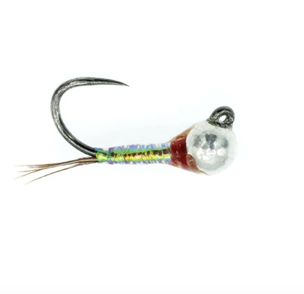 Rainbow Warrior Perdigon 2026-03-10 at 10.21.05 PM.png