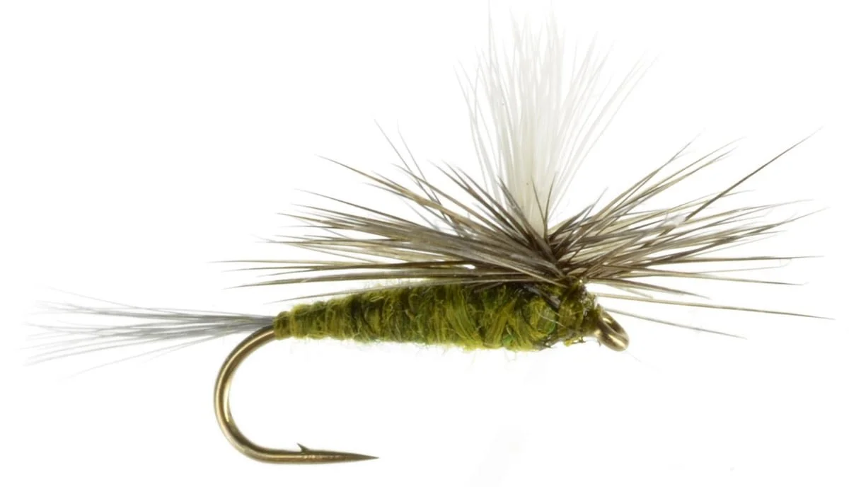BWO Parachute