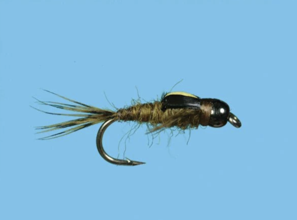Splitback BWO Nymph 2026-03-10 at 10.18.00 PM.png