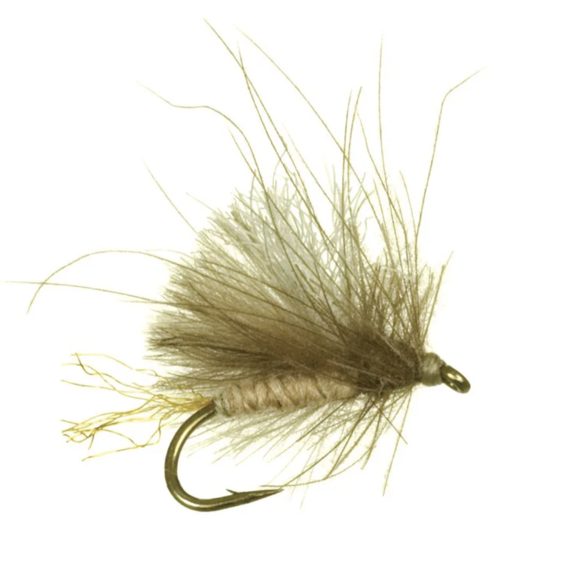 Cornfed Caddis 2026-03-10 at 9.59.12 PM.png