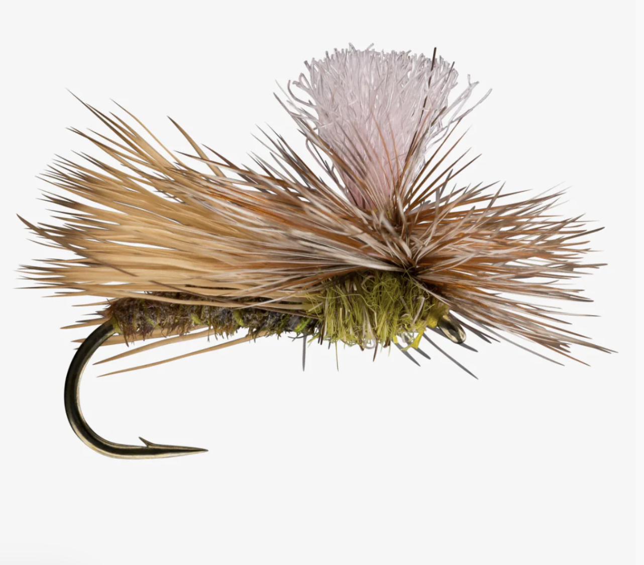 Parachute Caddis 2026-03-10 at 9.56.22 PM.png