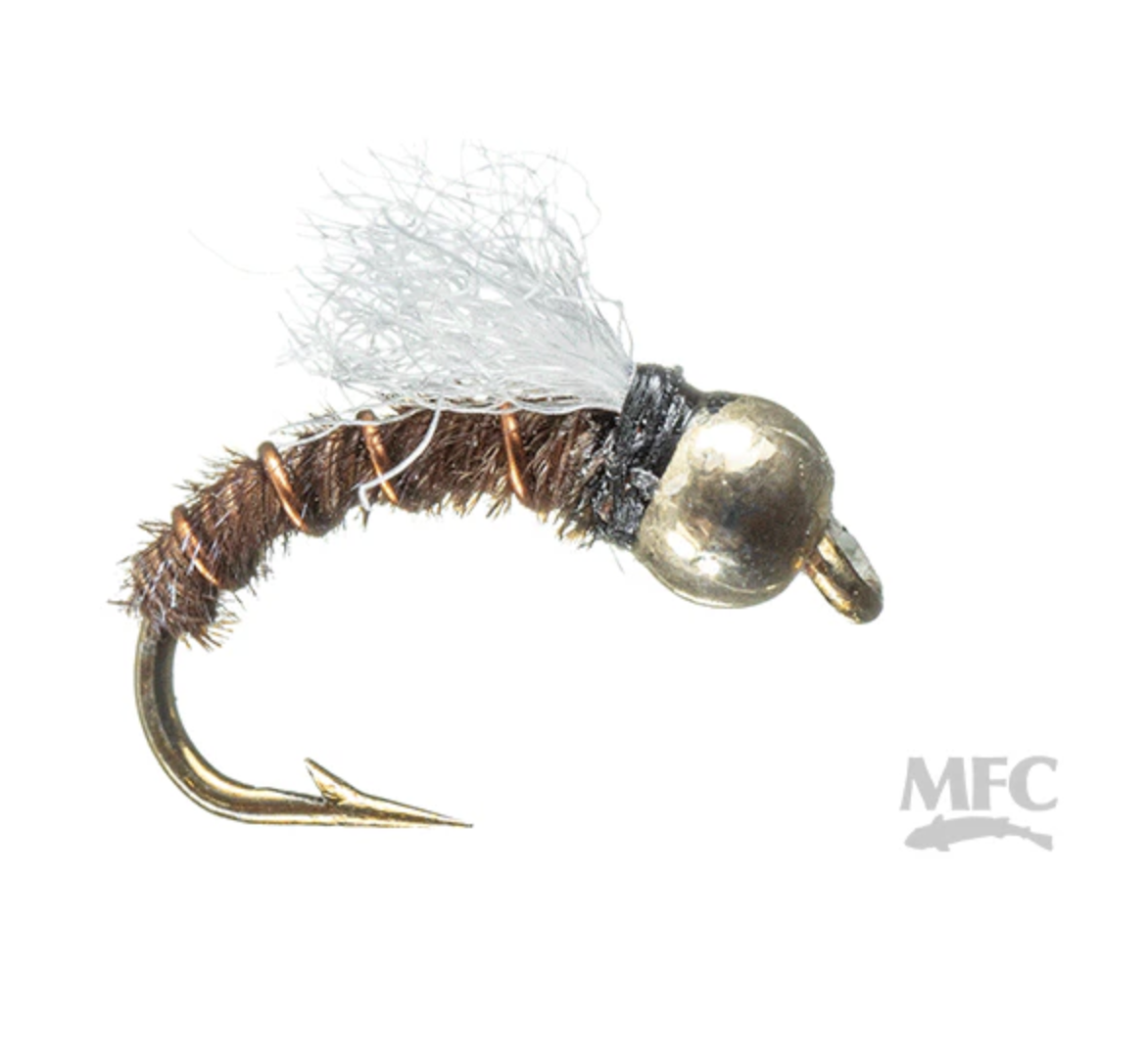 Shop Vac 2026-03-10 at 10.09.28 PM.png