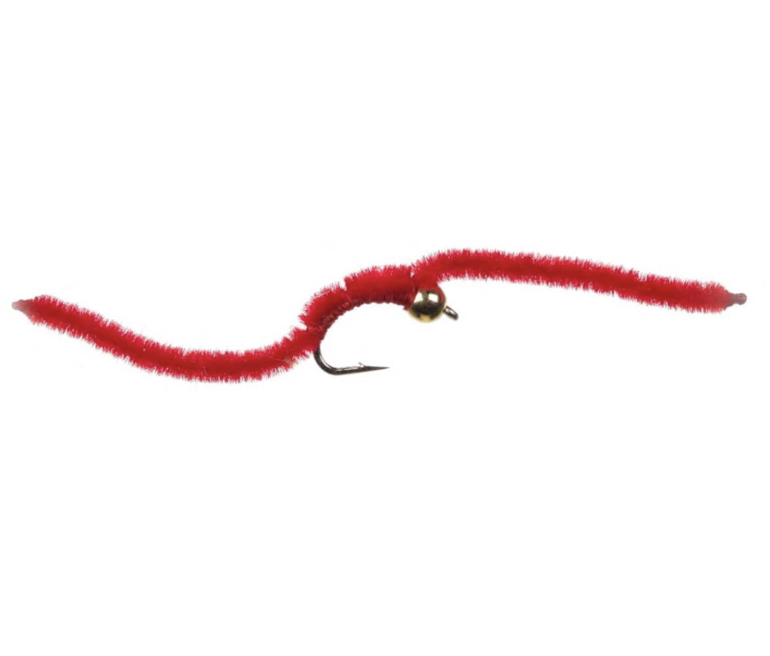 San Juan Worm 2026-03-10 at 10.25.41 PM.png