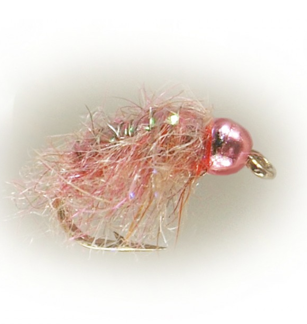 Cotton Candy Fly.png