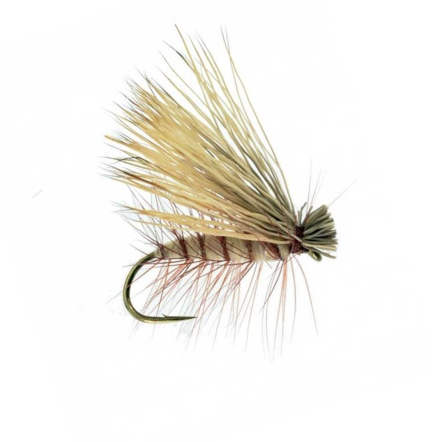 Elk Hair Caddis 2026-03-10 at 9.54.17 PM.png