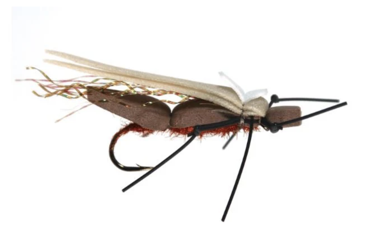 Waterwalker Salmonfly.png