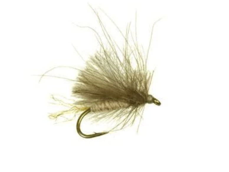 cornfed Caddis.png