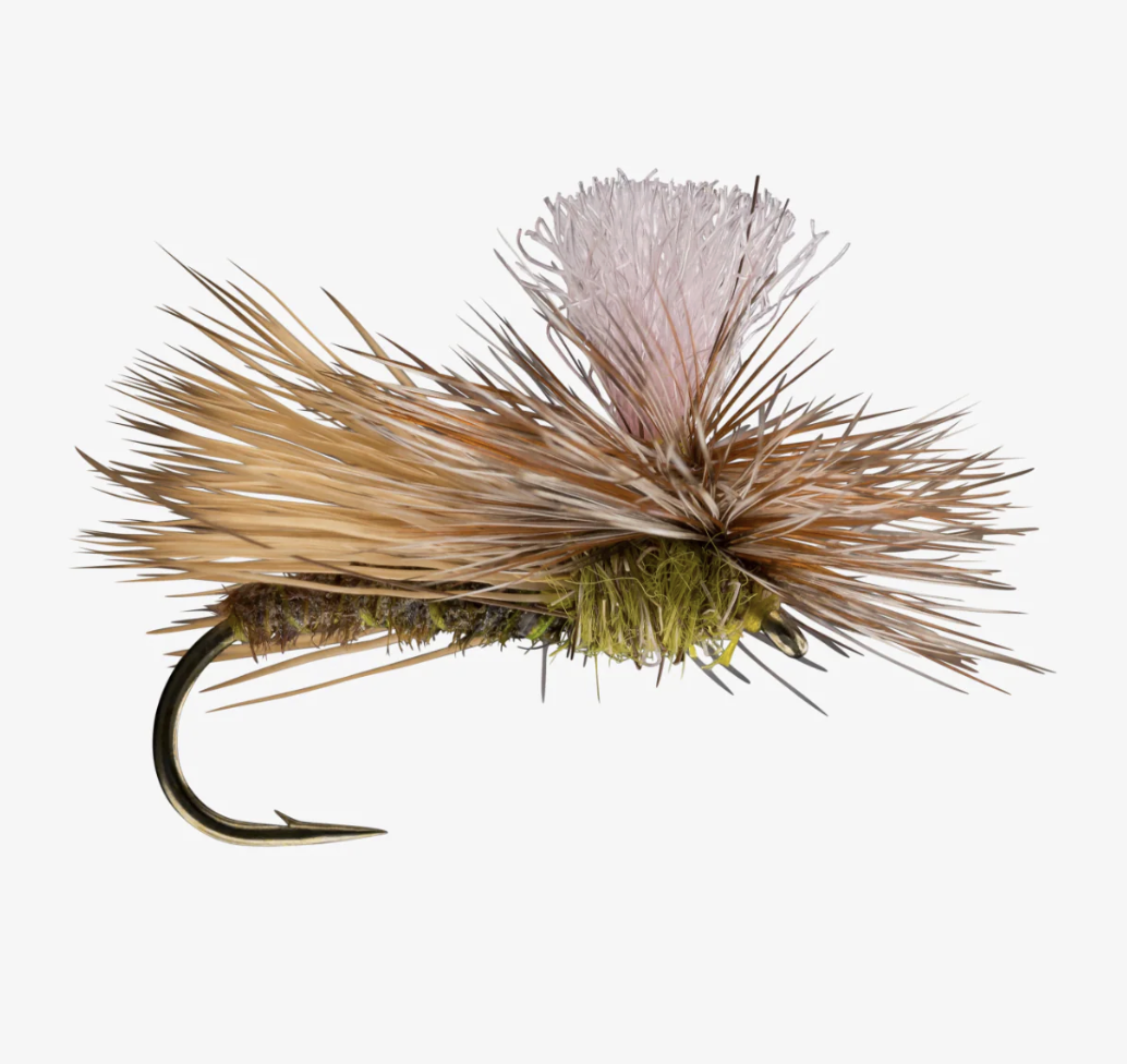 parachute caddis.png