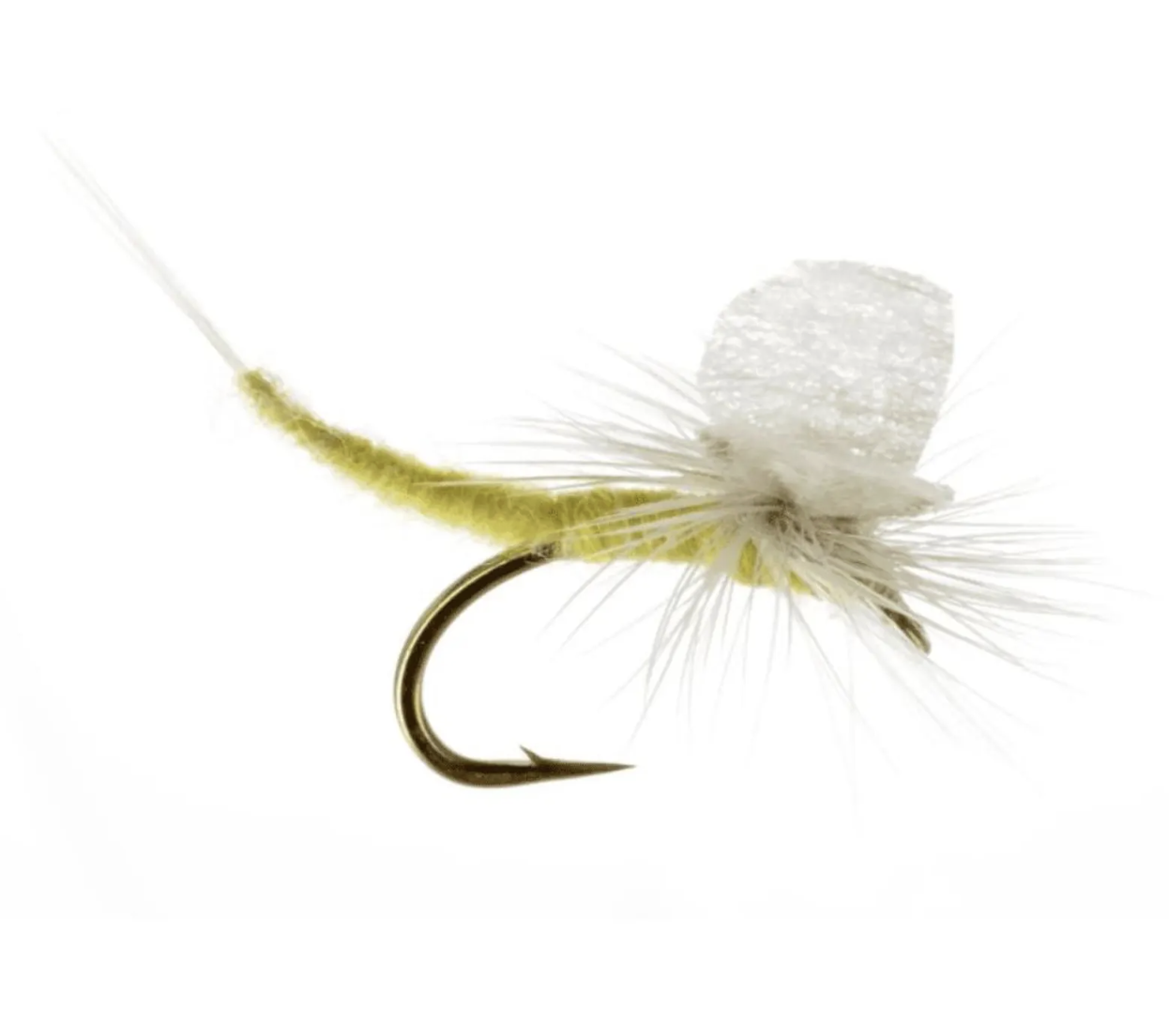 Extended Body PMD.png