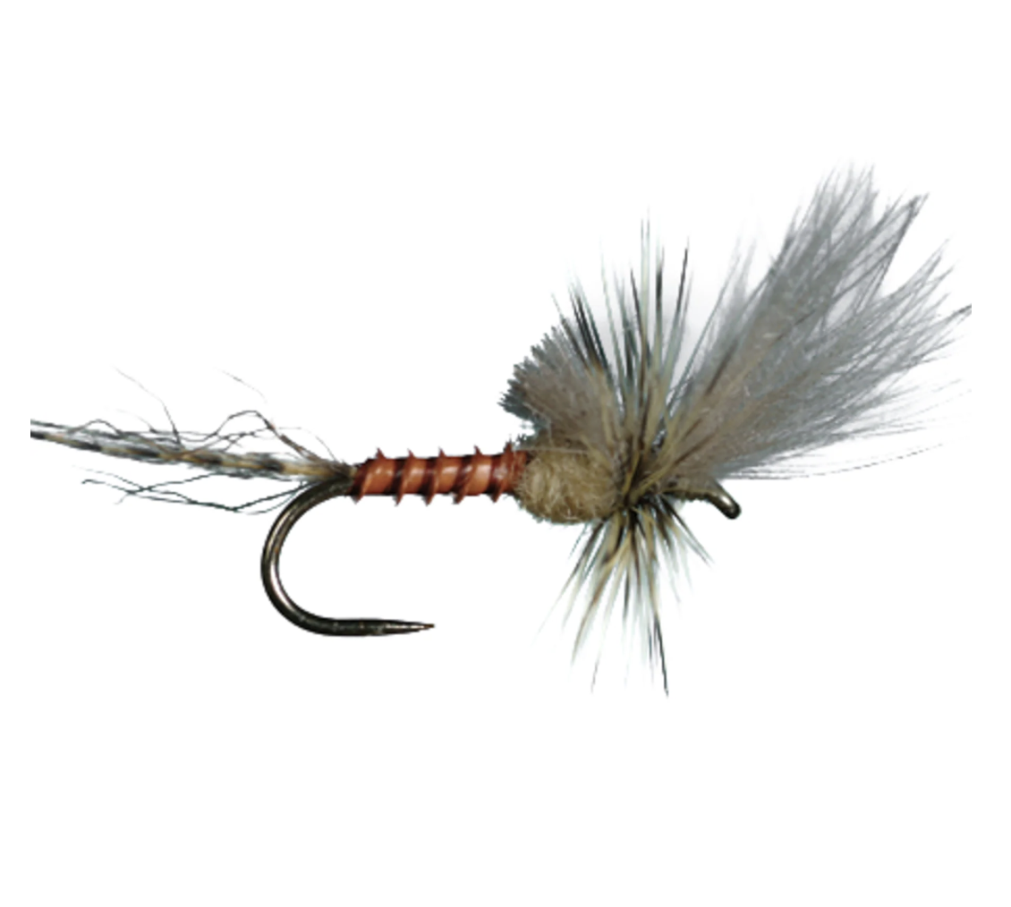 Last Chance Cripple .png