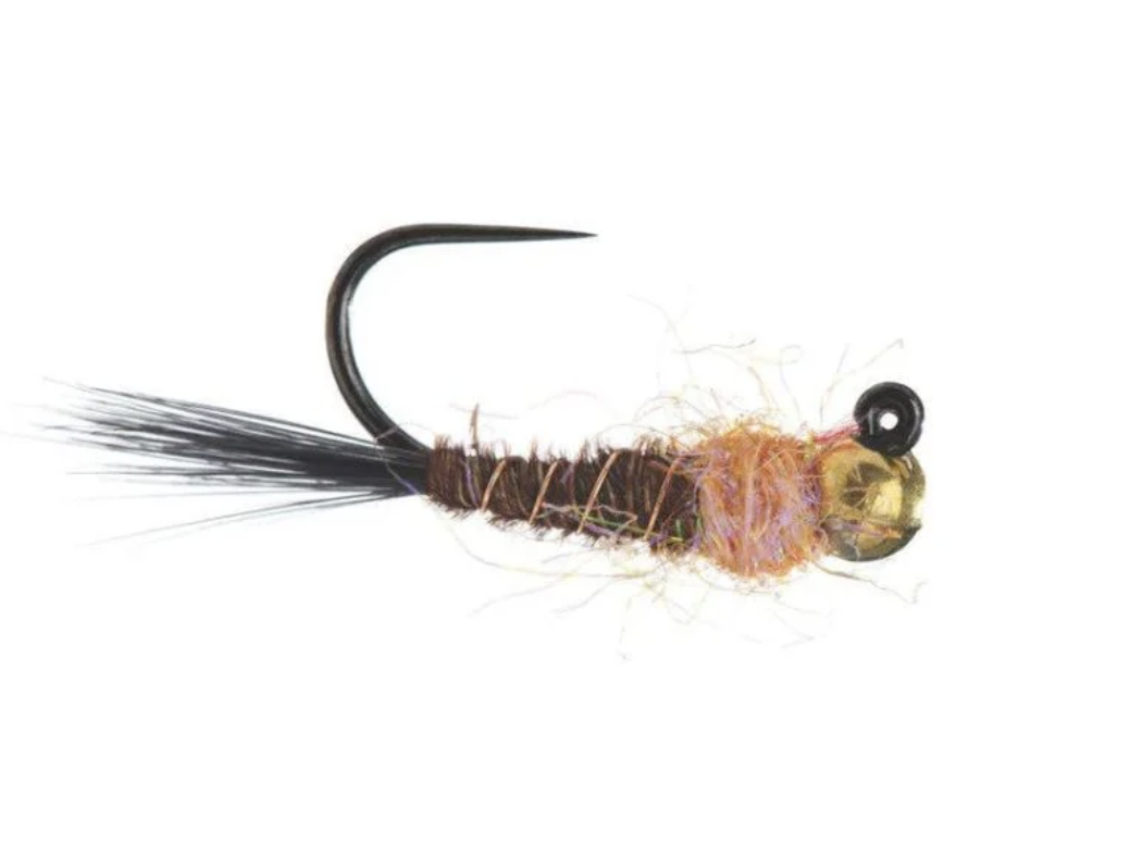 Jigged Frenchie .png