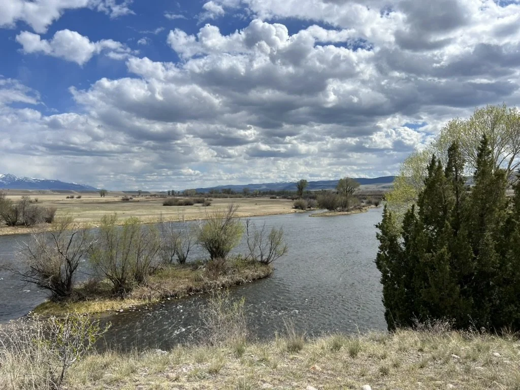 May Fly Fishing Report &amp; Runoff Outlook 2026 | Bozeman Area Rivers