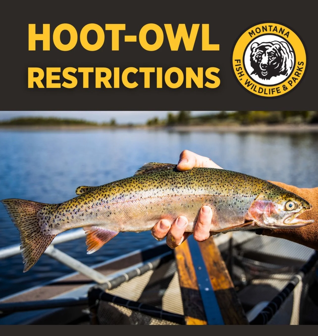 Hoot Owl Restrictions and Hoppers: A Mid-July Bozeman Fly Fishing Update