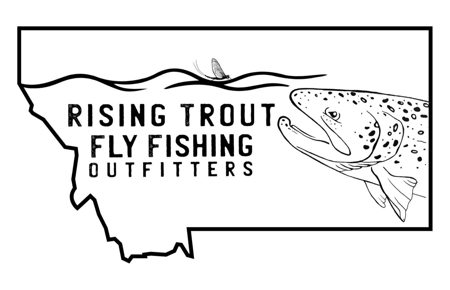 Rising Trout  Fly Fishing Outfitters