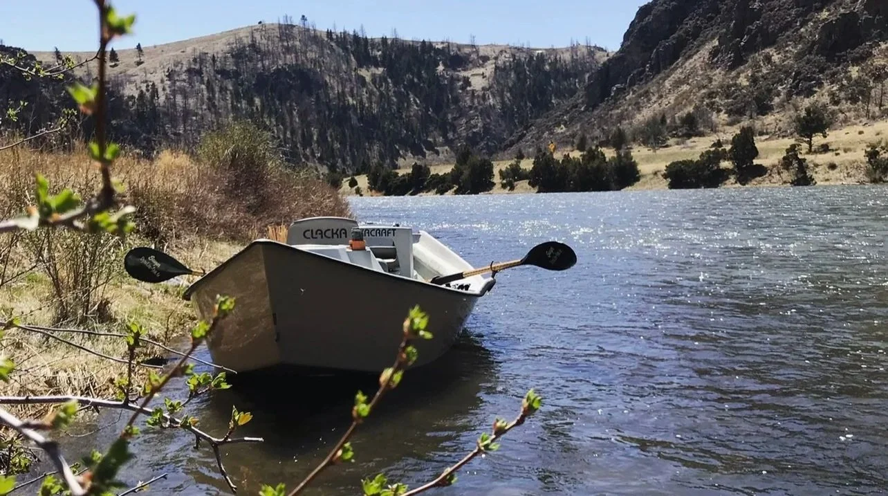 brown clackacraft drift boat pulled over on the lower madison river in spring. green grass is starting to show