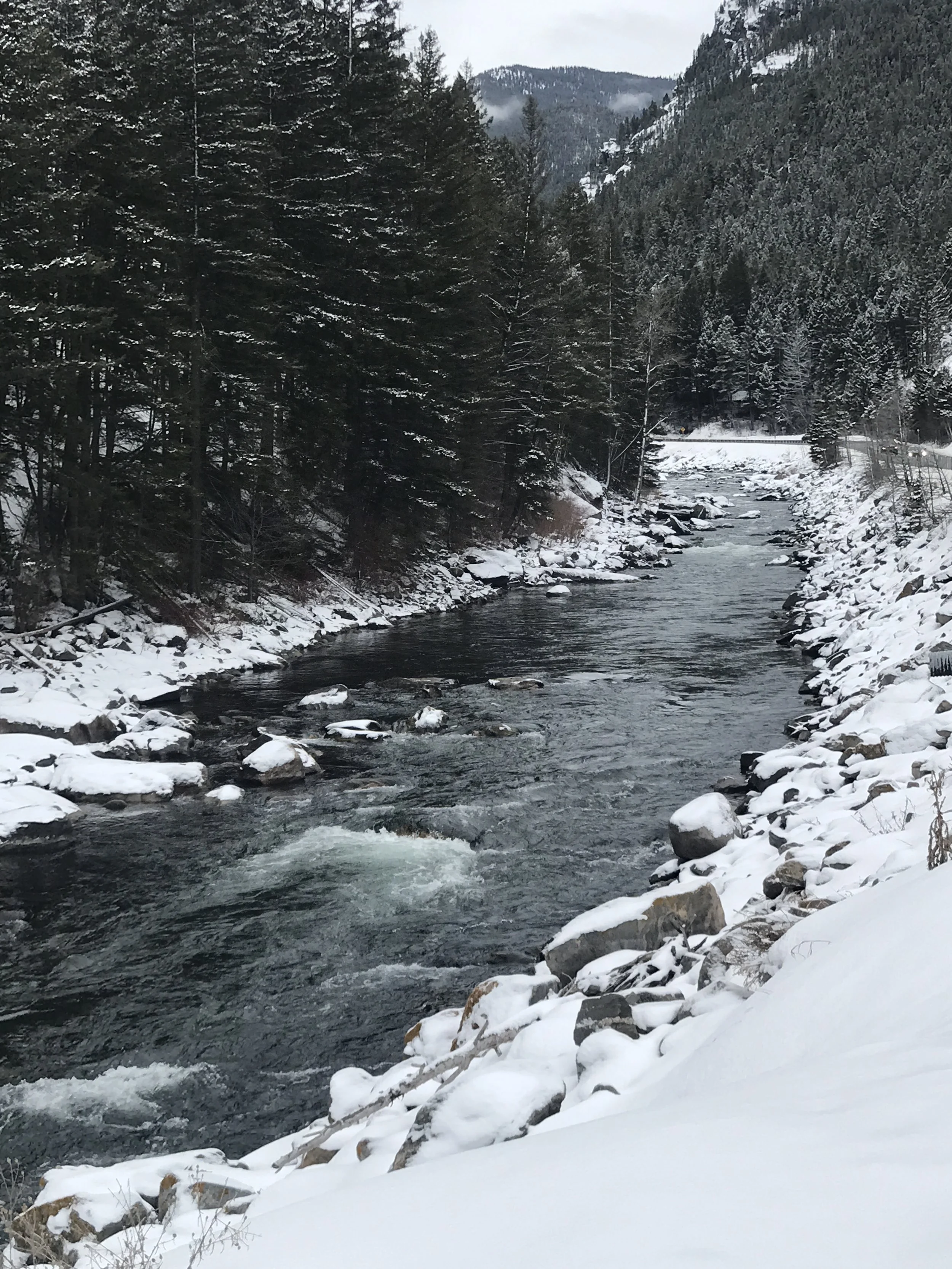 A river flowing through a snowy forested mountain landscape with tall green pine trees on both sides and snow covering the ground and rocks along the riverbank.