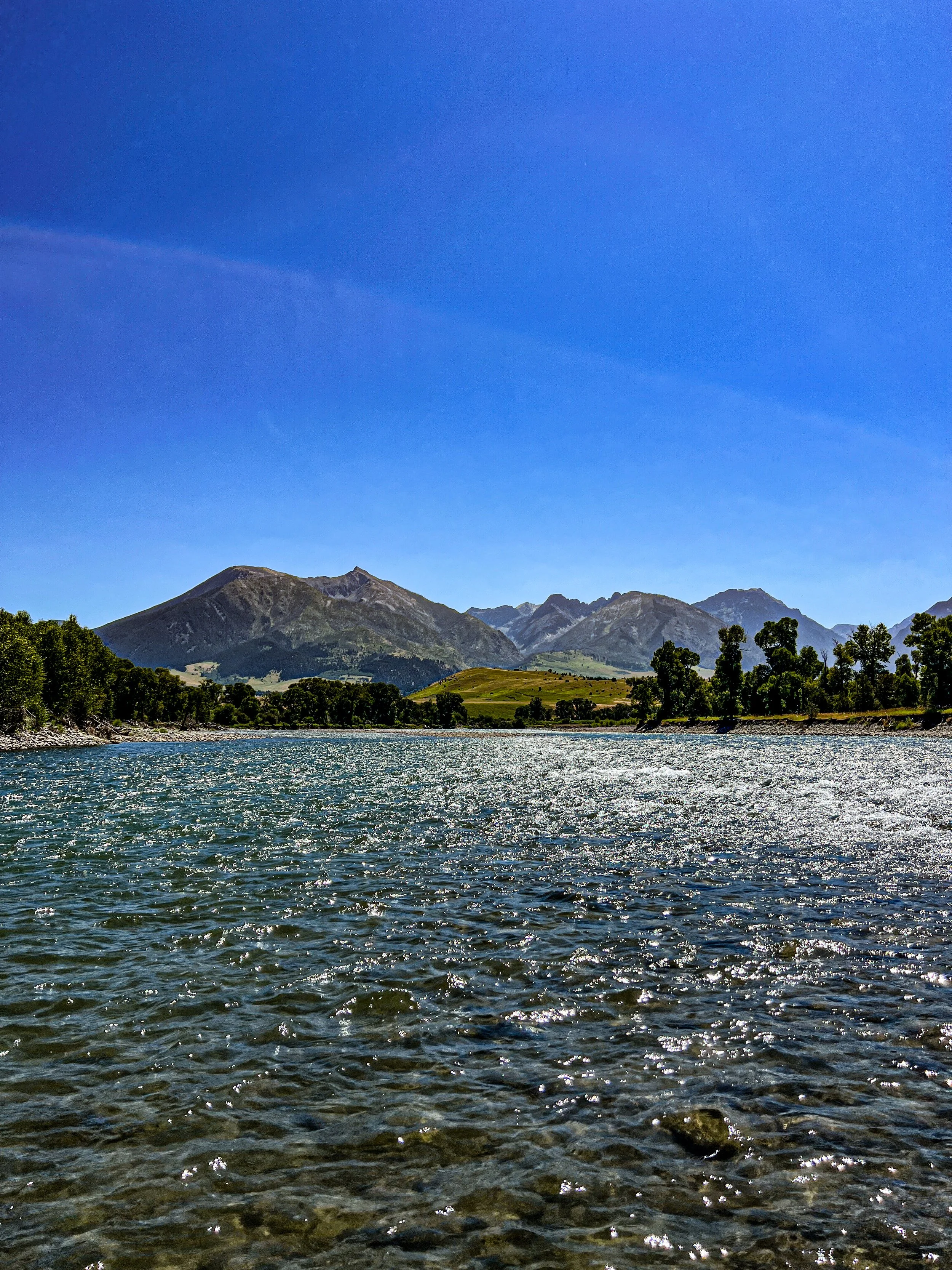 Yellowstone River Fly Fishing Reports