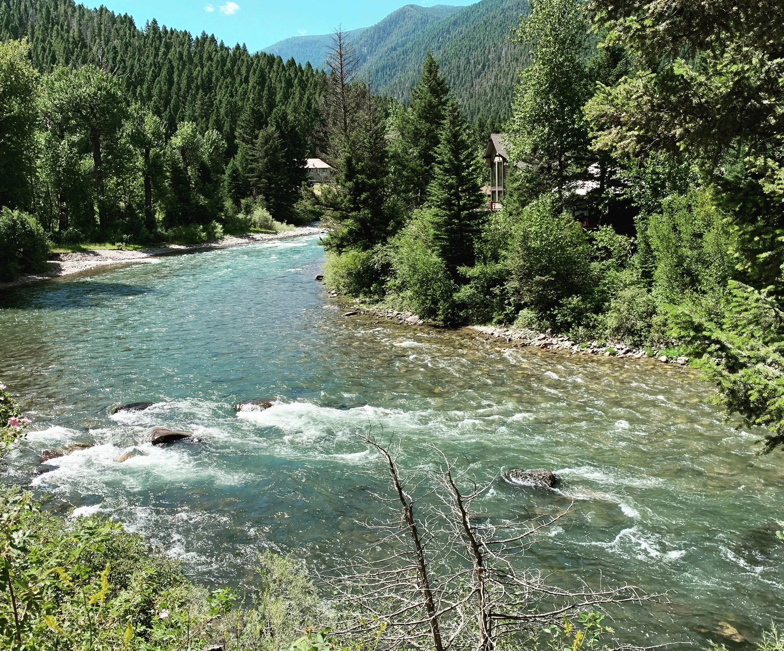 A river flowing through a forested mountain landscape with trees, mountains in the background, and a bright blue sky.