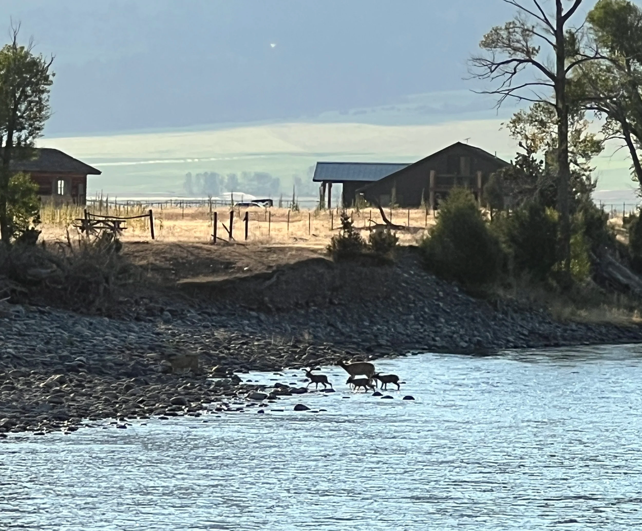 Summer outlook for fly fishing near Bozeman Montana in 2026