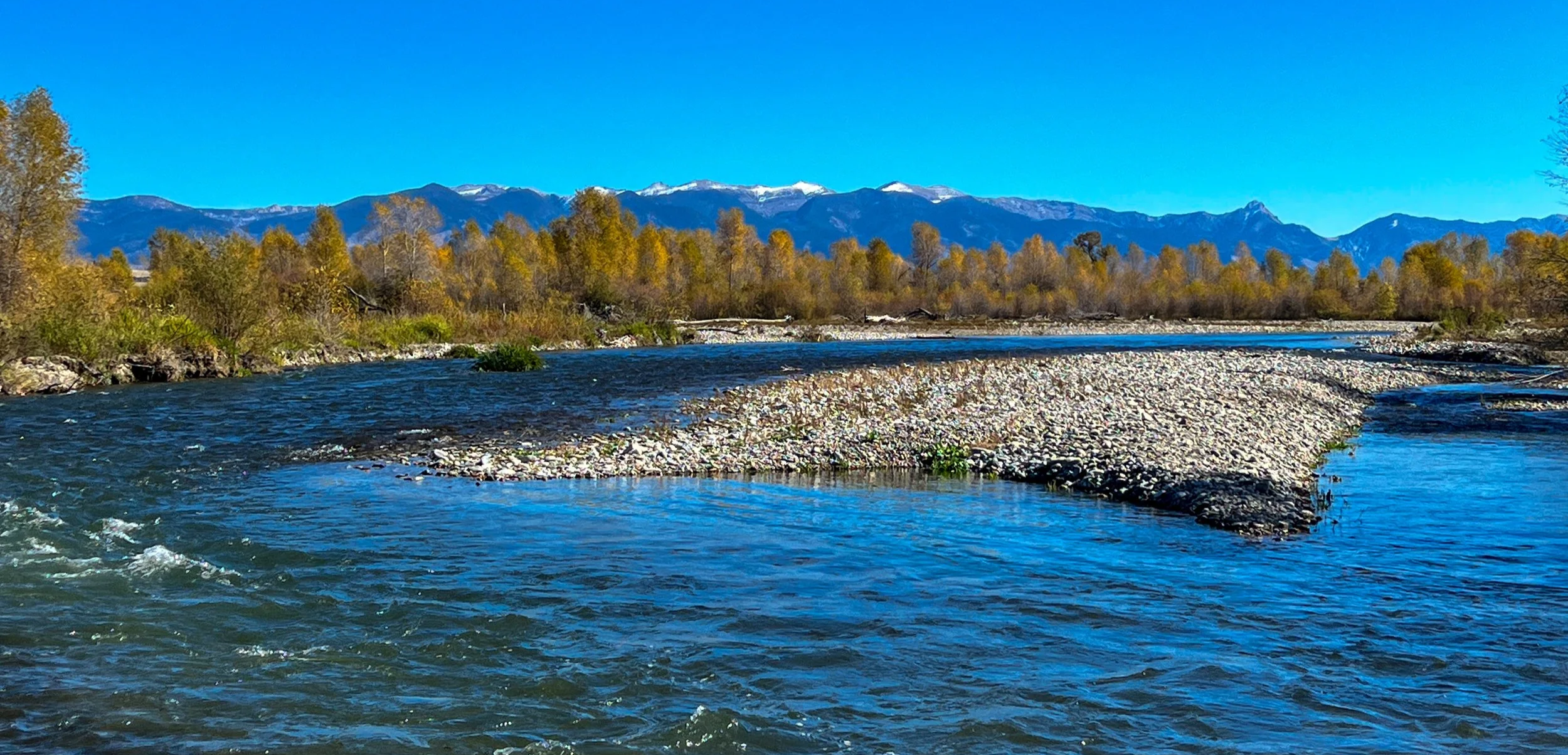 Fall on the Gallatin River in Bozeman Montana