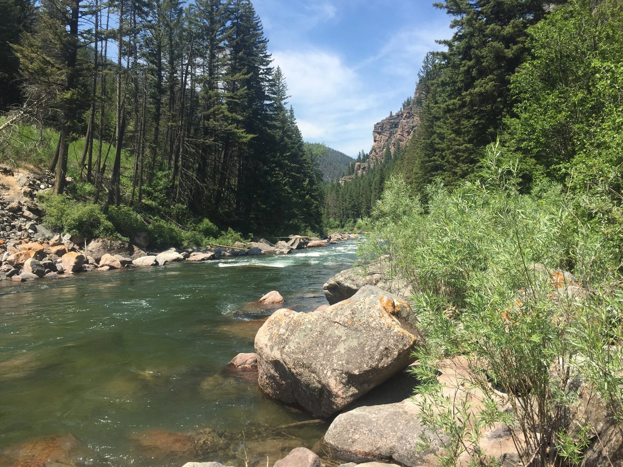 Gallatin River flowing through gallatin canyon on a summer day