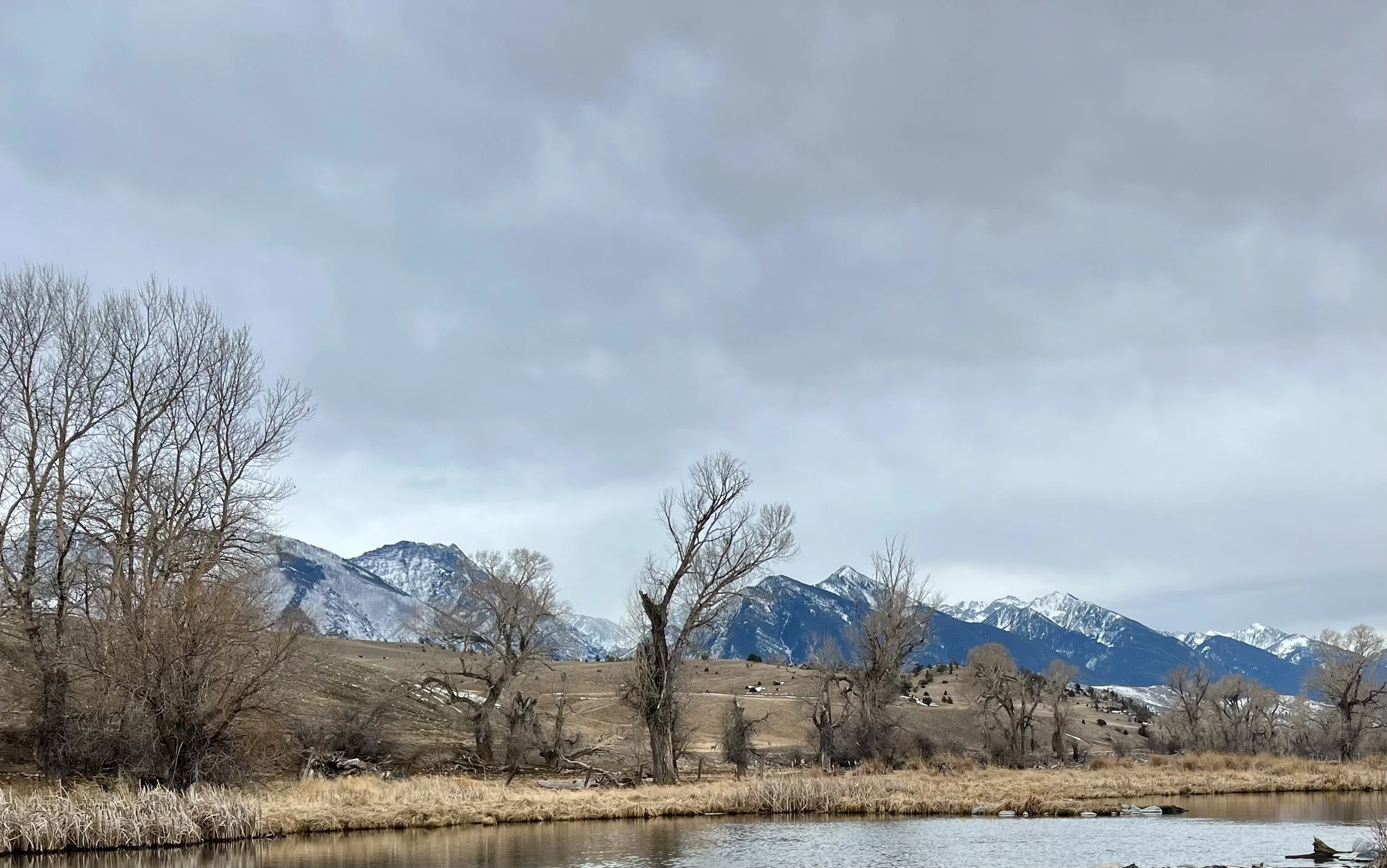 paradise valley spring creek with snow covered mountains in the background